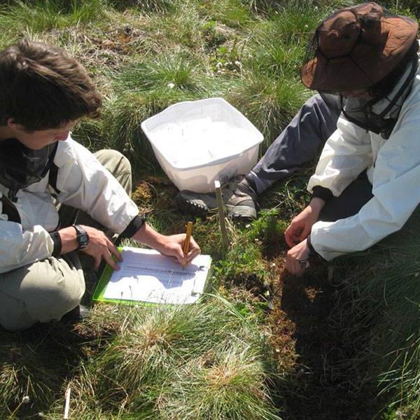 Wilkes student and faculty member performing field research